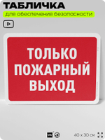 Табличка для обеспечения безопасности "Только пожарный выход", для офиса, по охране труда для предприятия, организаций, 40х30 см, Silver Plane x Айдентика Технолоджи