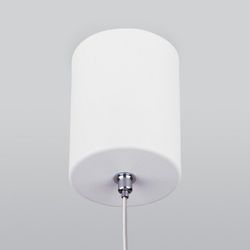 Подвесной светильник Elektrostandard DLS028 a047769