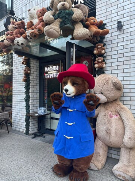 Ростовая кукла "Паддингтон"