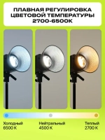 Осветитель светодиодный Raylab RL-100LED 2700-6500K с пультом