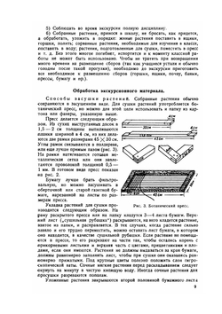 Ботанические экскурсии | И.И. Полянский