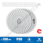 ЗУБР АГШК 100 мм, №30, мокрое шлифование, Алмазный гибкий шлифовальный круг, Профессионал (29866-030)