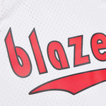 Баскетбольная джерси Mitchell&Ness NBA Hardwood Classics Swingman Jersey 2004/05 Portland Trail Blazers Damon Stoudamire White