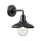 4965/1W NATURE ODL22 713 черный/стекло Ландшафтный настен.светильник E27 1*60W IP44 CAMPA