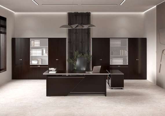 Кабинет руководителя Зум