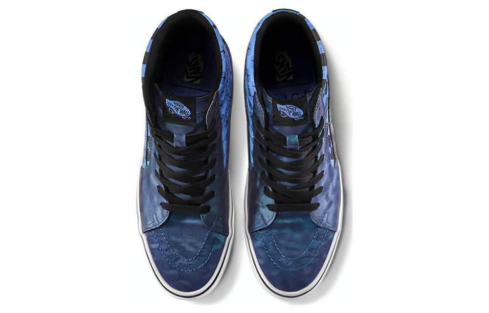 Harry Potter X Vans Sk8