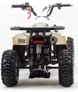 Квадроцикл MZ Eagle 110