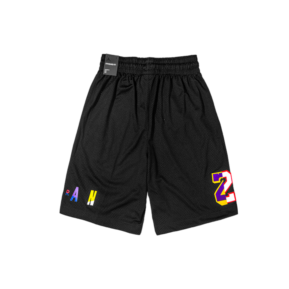 Шорты Air Jordan Washed DNA Logo, AV0115-010