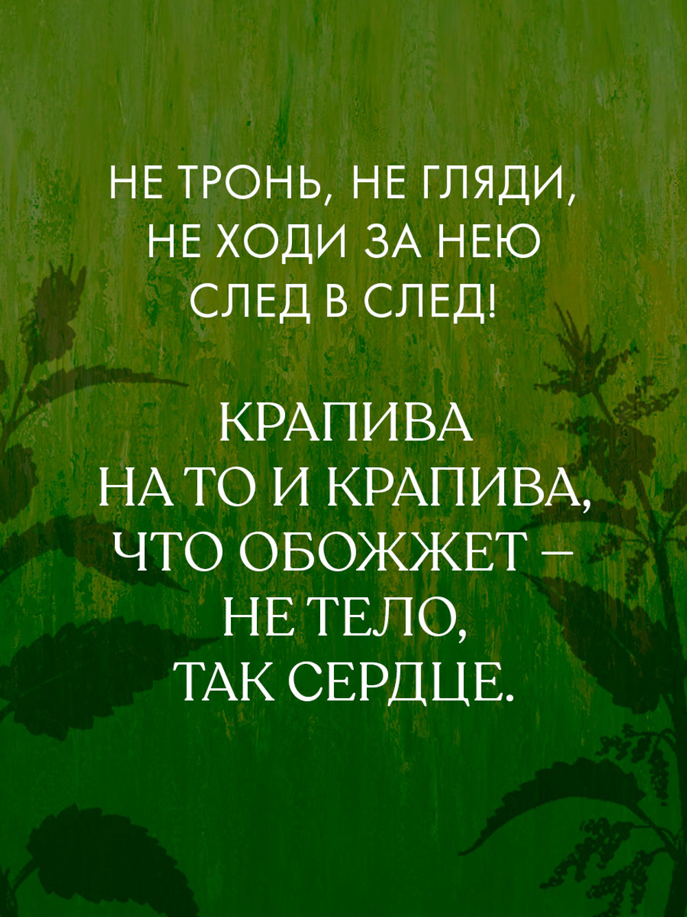 Крапива