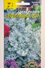 Цинерария Серебрянный бор 0,1 г СМЦ-614
