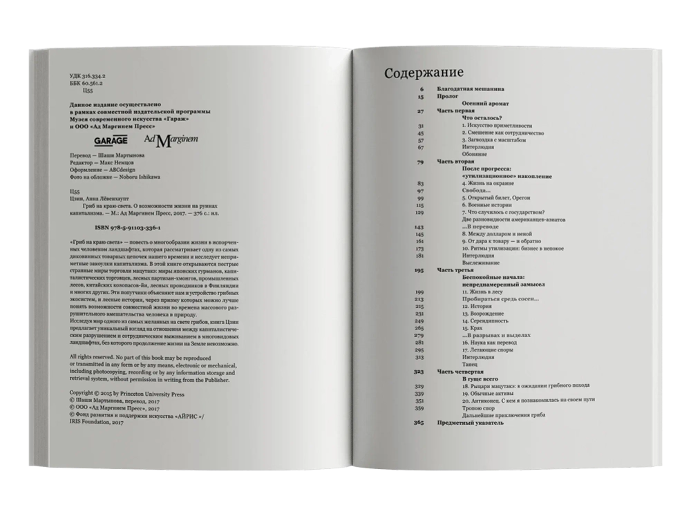 Гриб на краю света