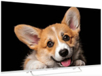 Телевизор  TopDevice TDTV50CS03U_WE