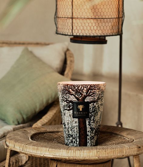 Morondo, свеча MAX 10 Sacred Trees collection, Baobab Collection
