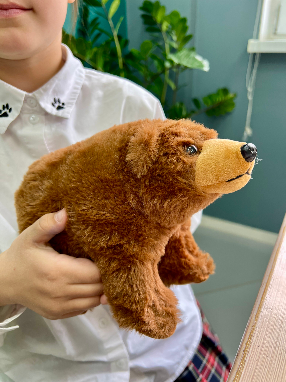 Детская мягкая игрушка All About Nature Медведь