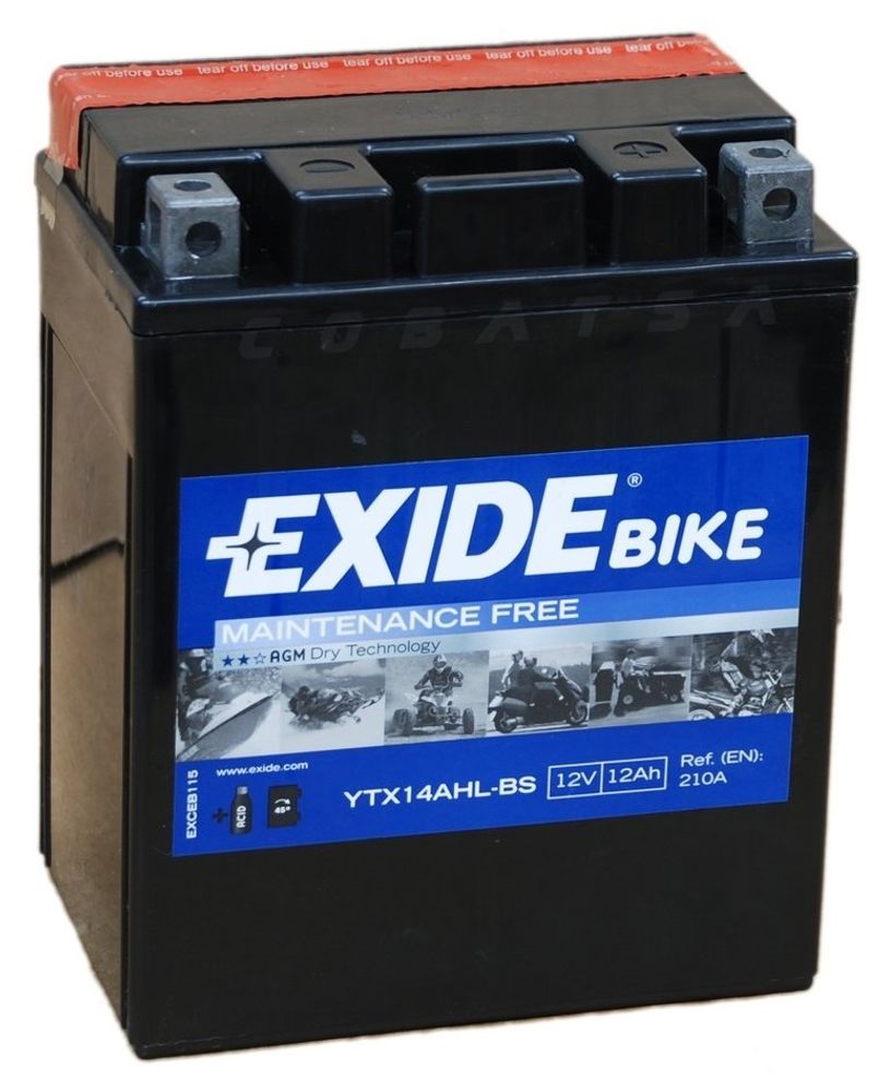 EXIDE YTX14AHL-BS аккумулятор