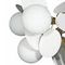 Подвесная люстра Loft IT Matisse 10008/10 White