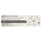 Redmond, Silver EarthPaste®, минеральная зубная паста, без подсластителя, мята, 113 г (4 унции)