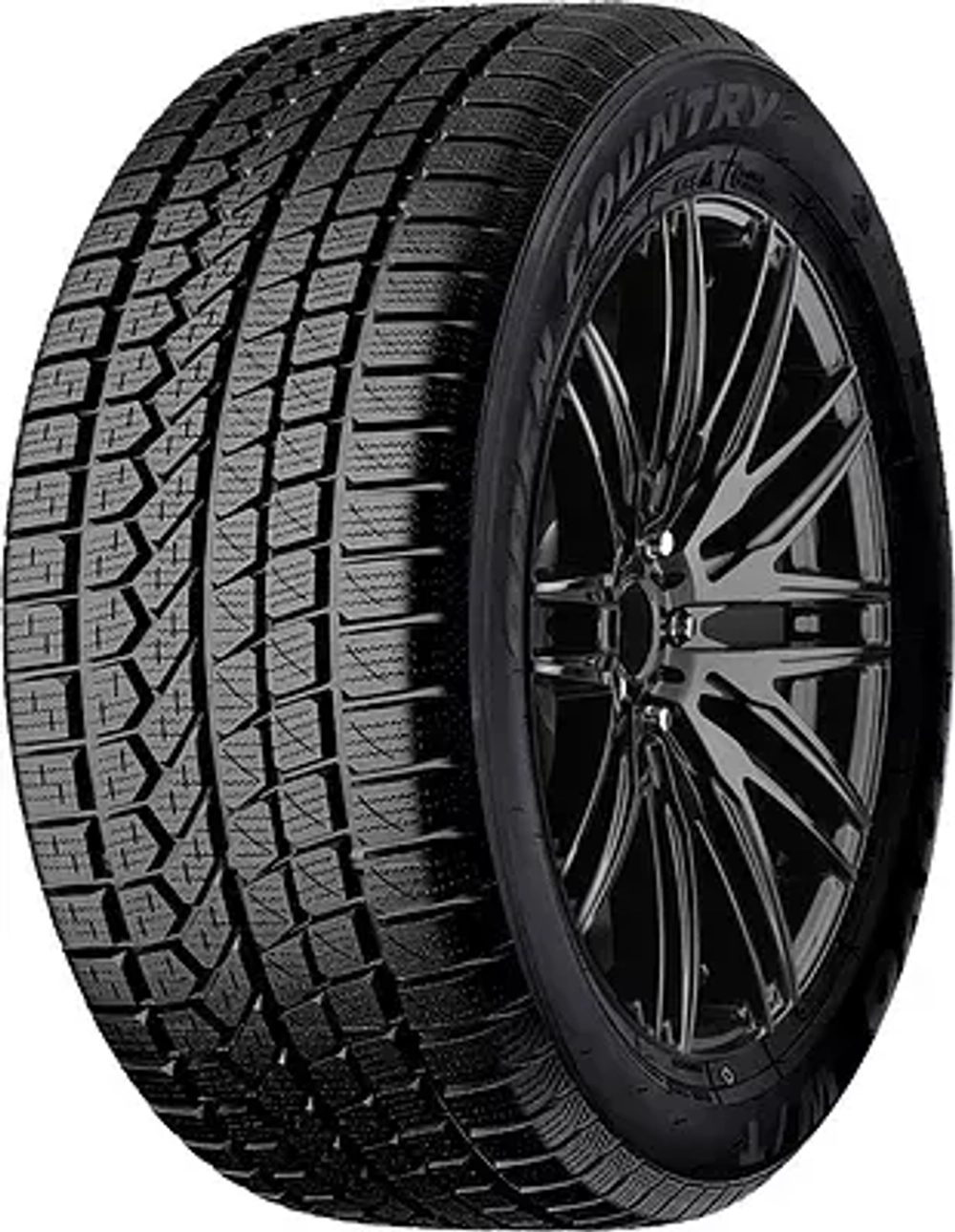 Toyo Open Country W/T 255/70 R16 111T