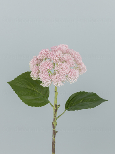 Седум силикон розовый