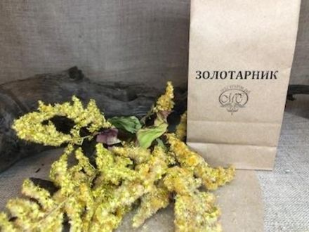 ЗОЛОТАРНИК