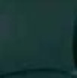 Стул Beetle, набор из 2 шт GUBI пластик/металл/green без обивки 580х560х870h