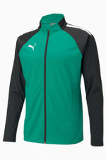 Кофта Puma teamLIGA Training