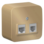 BLANCA О/У РОЗЕТКА двойная: комп.RJ45, кат.5Е + телеф. RJ11 ИЗОЛ.ПЛ., ТИТАН