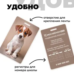 Карта Москвёнок DOGS №11 (проход + питание)