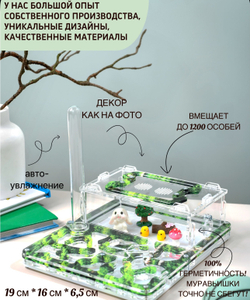 Муравьиная ферма с муравьями в подарок "Мох"
