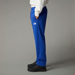 Брюки спортивные мужские THE NORTH FACE U AXYS JOGGER