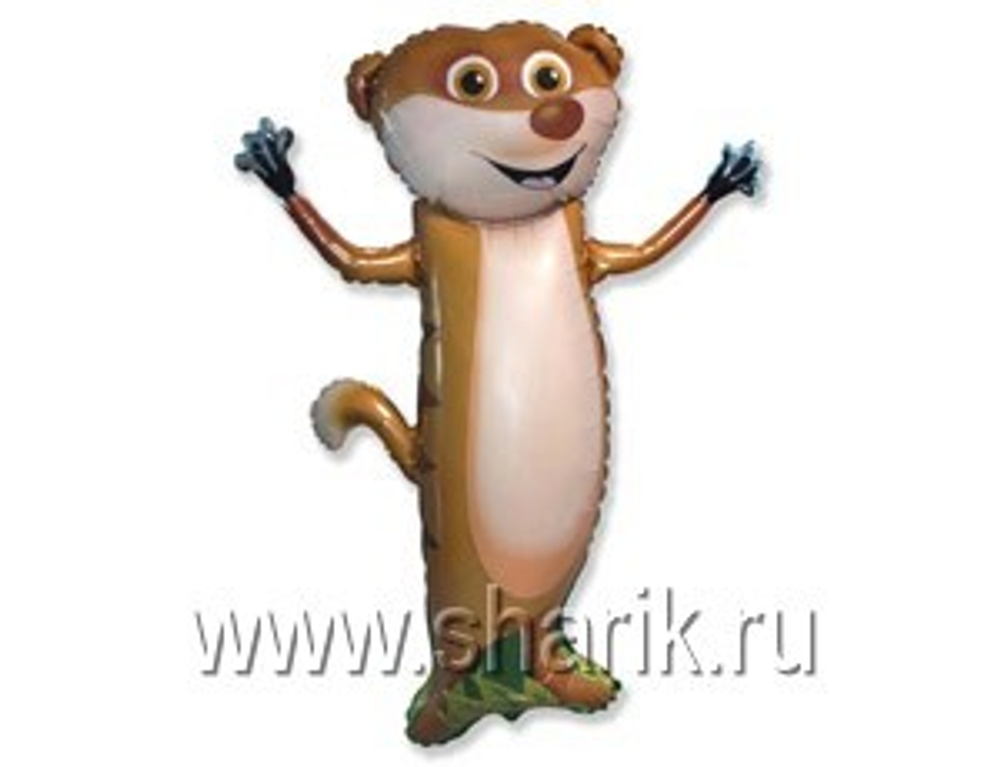 Ф ФИГУРА/11 Суслик/FM