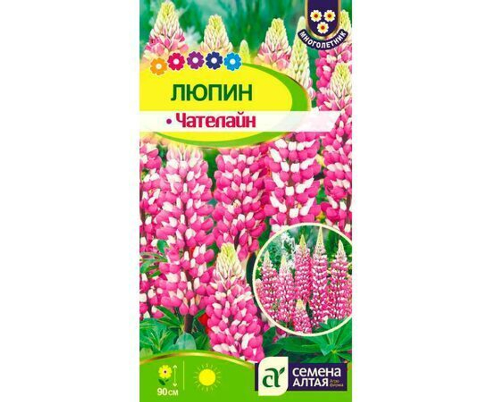 Люпин Чателайн