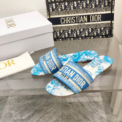 Christian Dior Dway Slide