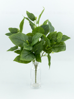 Сирень Южная