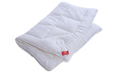 Одеяло всесезонное 180x200 Hefel Welness Beauty GD