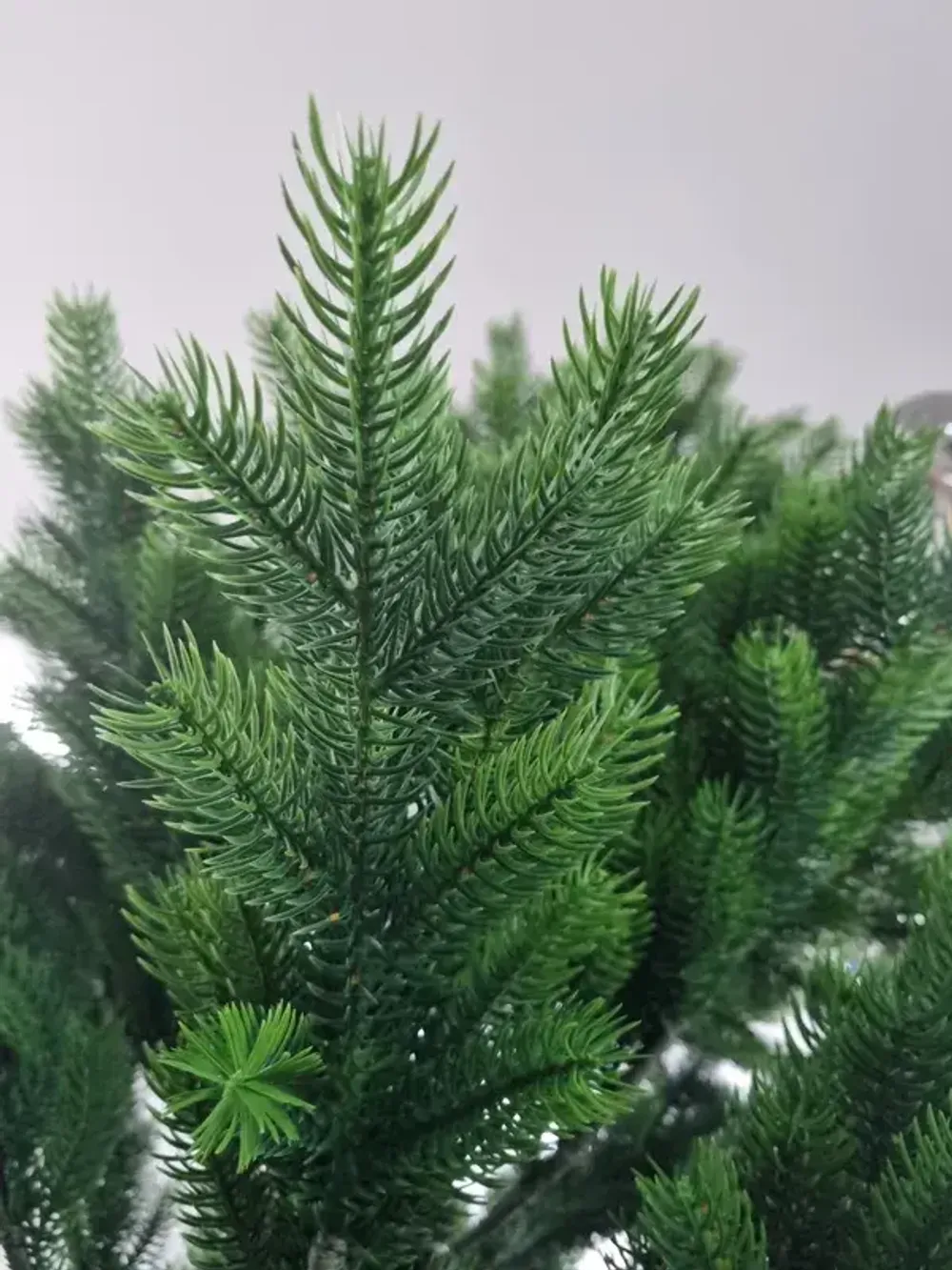 Ель искусственная «Торжественная» (Литая хвоя) от 1,8 м до 4 м