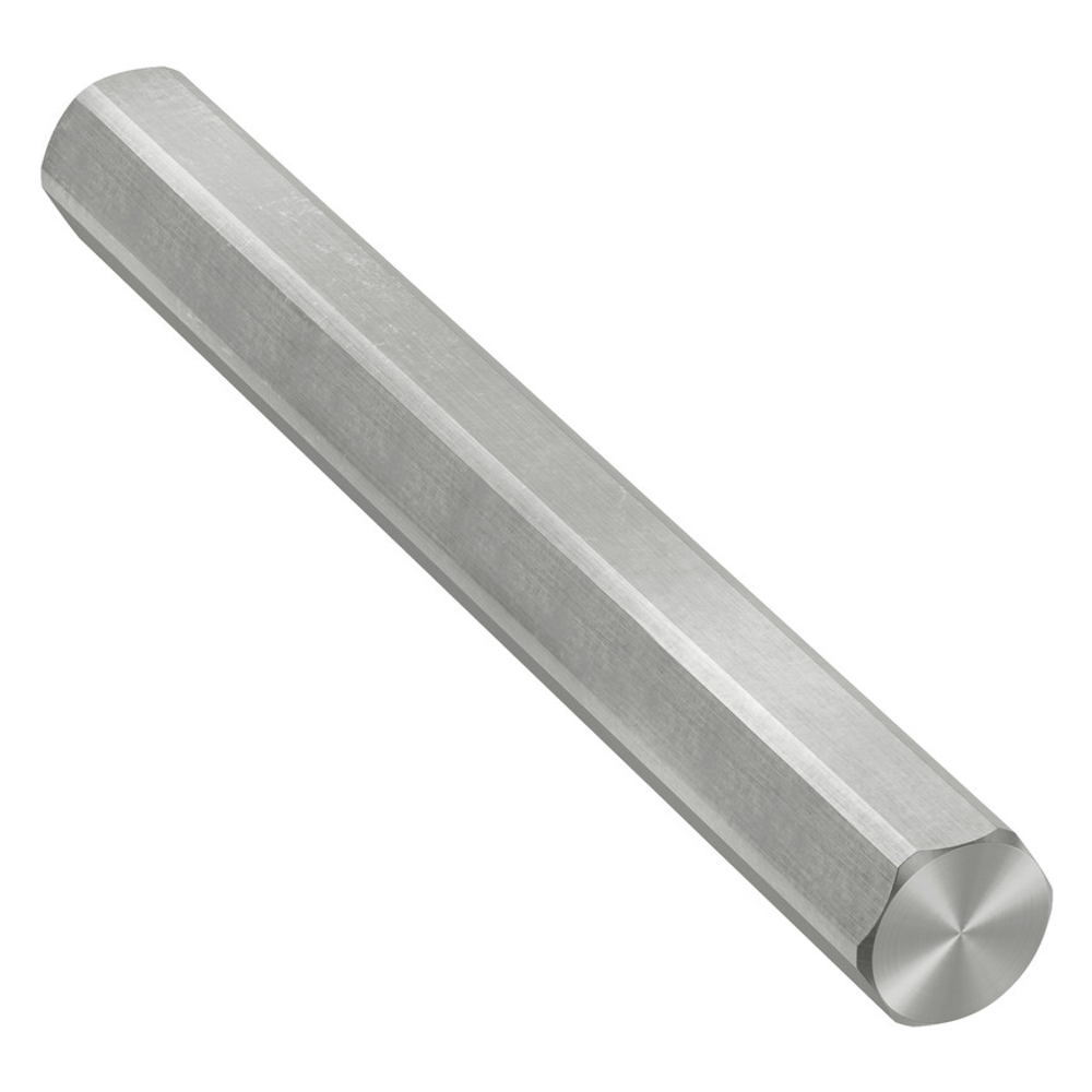 12mm REX™ Shaft (Stainless Steel, 100mm Length)