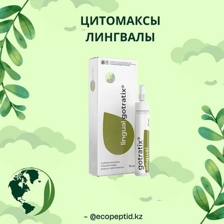 ЦИТОМАКСЫ ЛИНГВАЛЫ