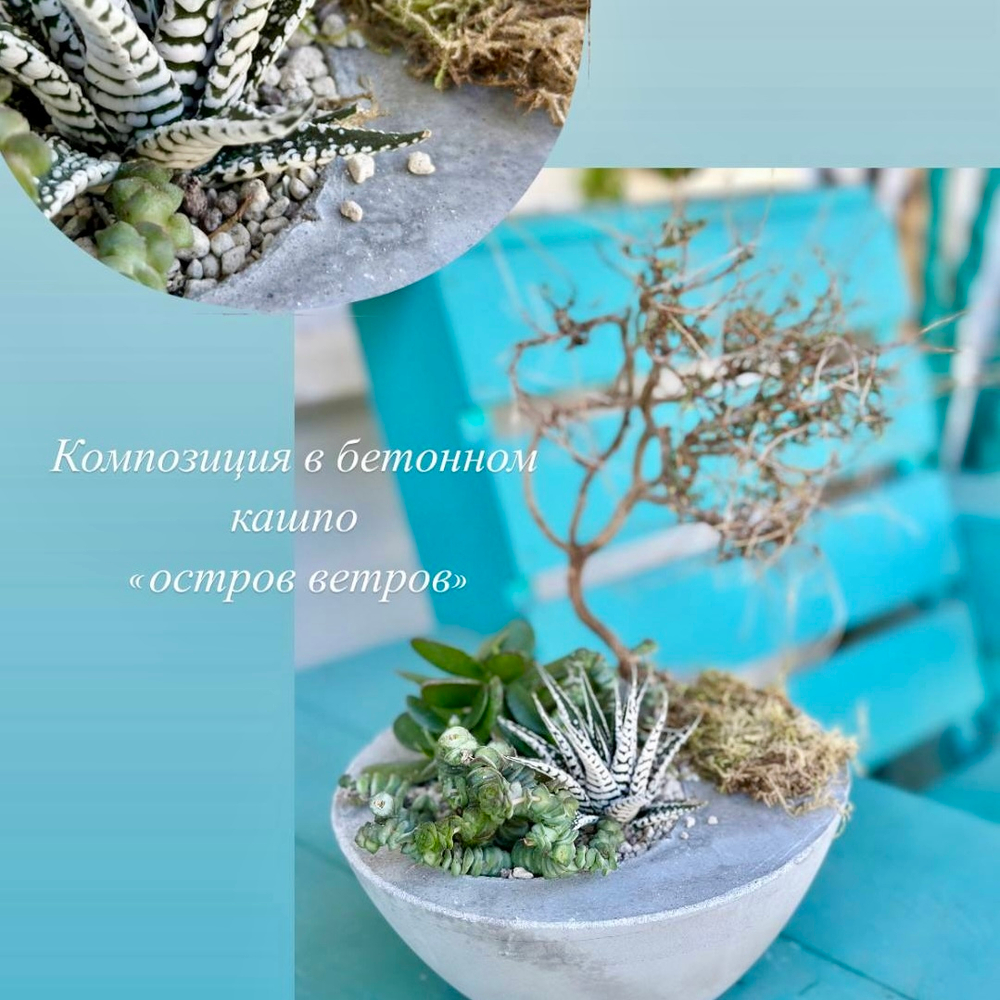 🪨 Мастер-класс «Бетонное кашпо с суккулентами» — дизайн с нуля