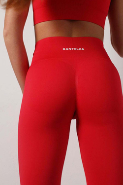 Комплект Gantelka PUSH-UP красный (топ+лосины)