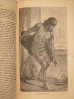 "Естественная история племен и народов. В двух томах". Фридрих Гельвальд. 1885г.