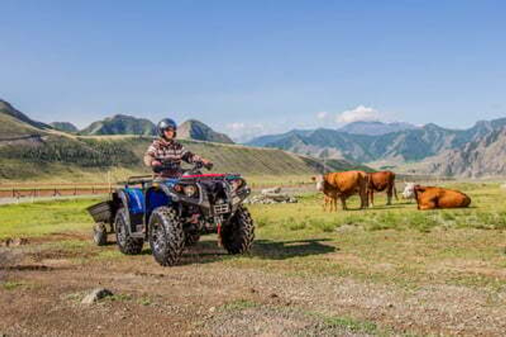 Квадроцикл СТЕЛС ATV 650 Guepard Trophy EPS (ПСМ)