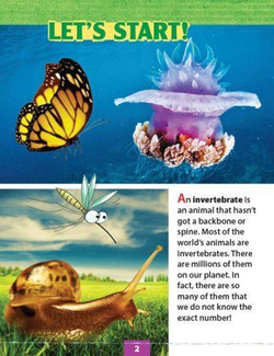 No Bones. Уровень 3 (3-4 класс)  Книга для чтения с доступом к электронному приложению