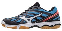 Мужские волейбольные кроссовки Mizuno