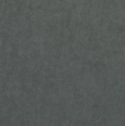 Микровелюр Бэст 31