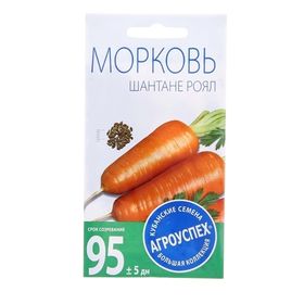 МОРКОВЬ