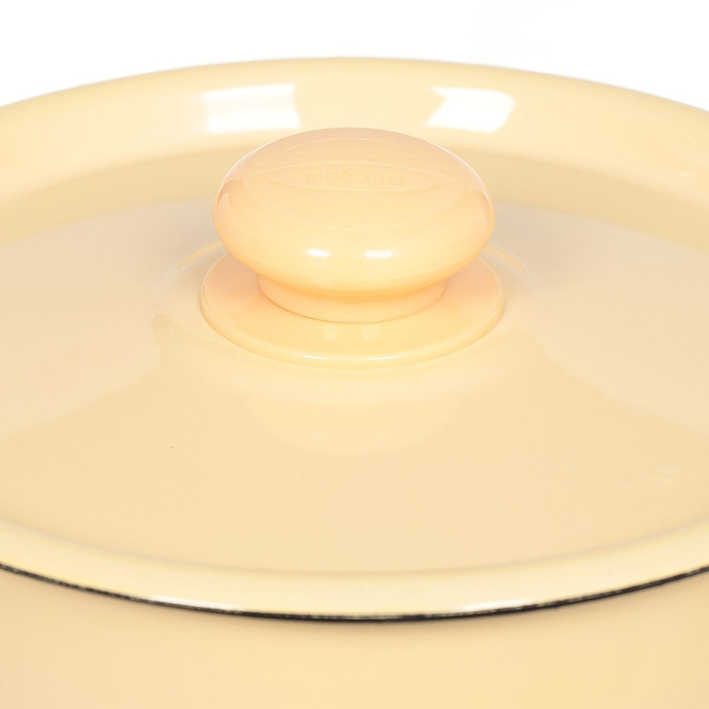 Кастрюля сталь, эмал, 5.5 л, с крыш, Сиб товары, С2517.3П, индукц