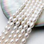 Жемчуг, размер около 5,8*4,7 мм, цена за отрезок 17 см (1/2 нити)