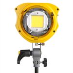 GreenBean SunLight 100 LEDX2 BW