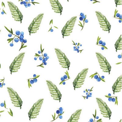 Ягоды и папоротник